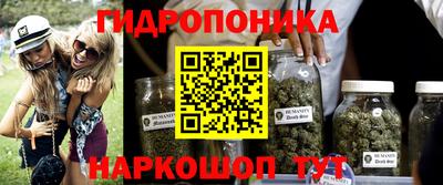 каннабис Гусь-Хрустальный