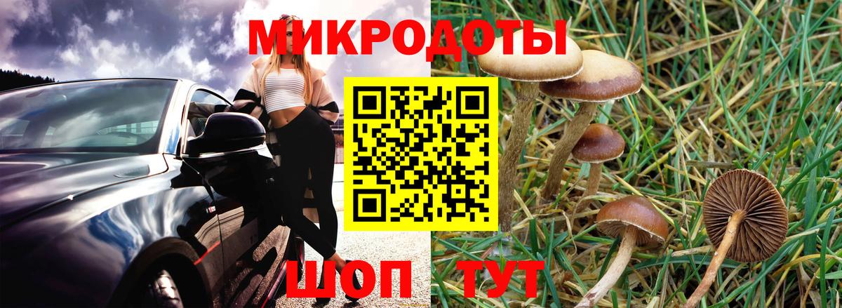 Галлюциногенные грибы Psilocybe  Галлюциногенные грибы Cubensis  Вход с VPN  Клинцы 